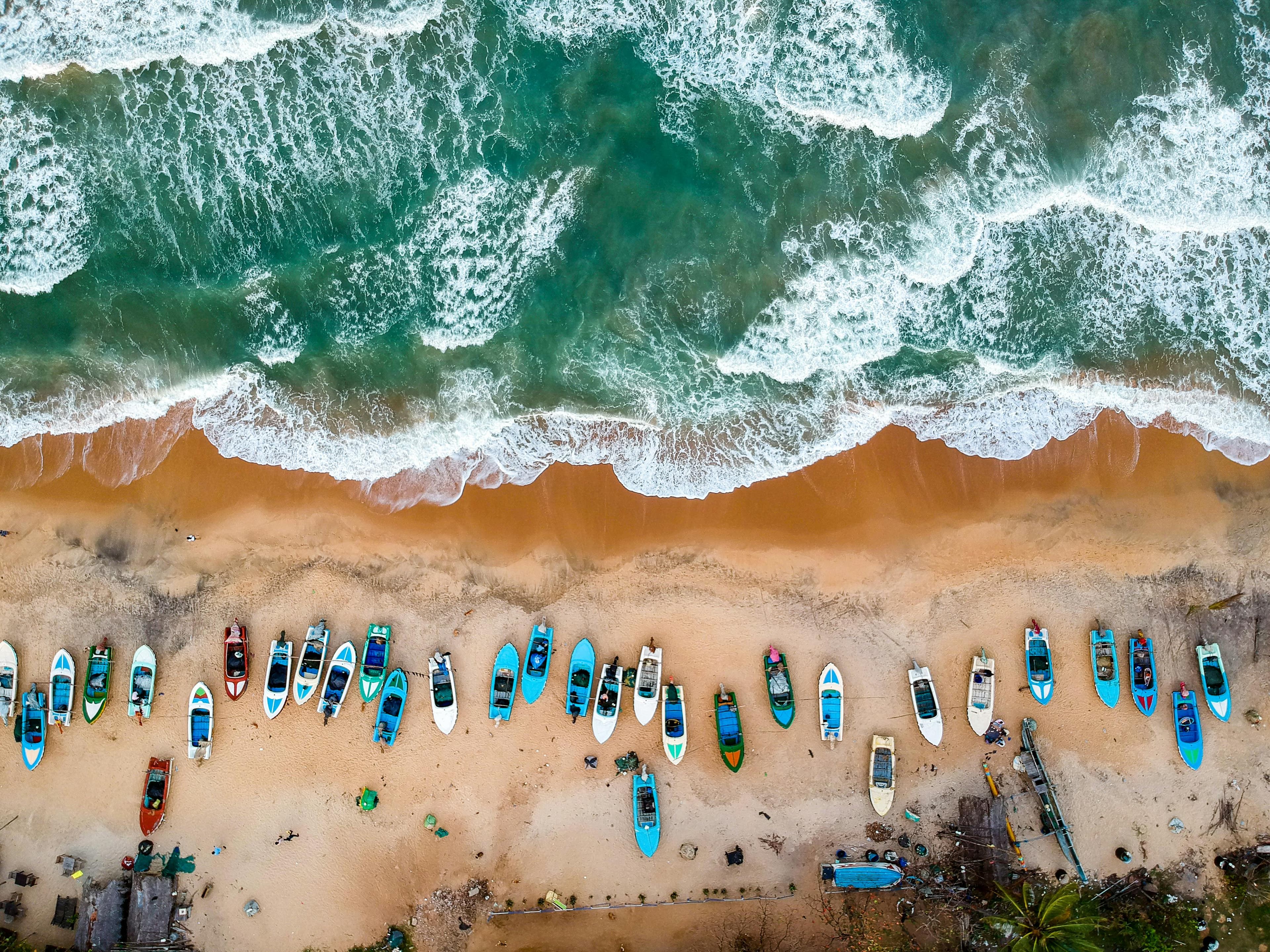 Discover Sri Lanka